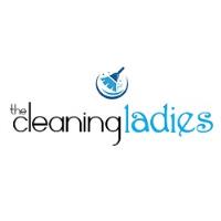 The Cleaning Ladies image 1